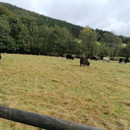 Διαμέρισμα Christine Mit Sauna Und Whirlpool Utzerath